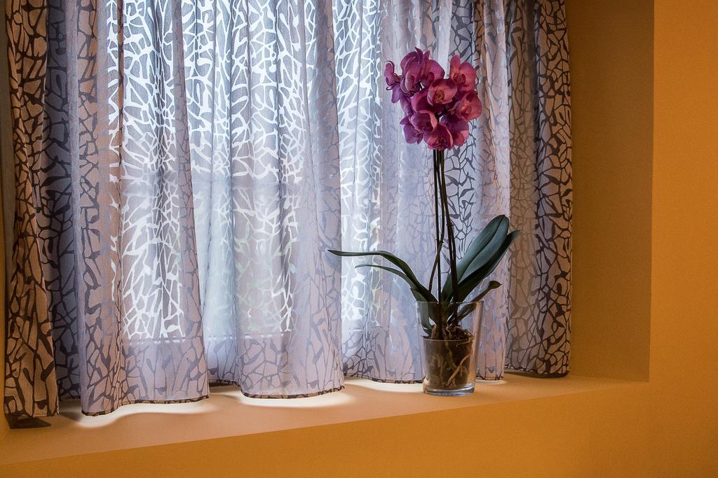 Amalur Etxea Guest House Echauri Ngoại thất bức ảnh